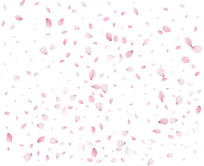 Lovely spring texture of pink petals.