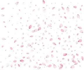 Sakura petals in a colorful spring swirl.