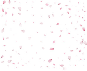 Sakura petals in a colorful spring swirl.