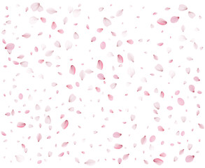 Cherry petals in a colorful spring swirl.