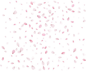 Many cherry petals are swirling in the wind.