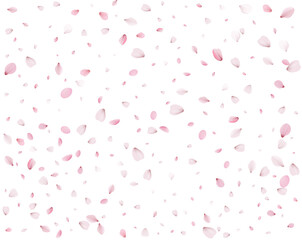 Many cherry petals are swirling in the wind.