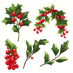 Fototapeta na wymiar Christmas mistletoe with berries 