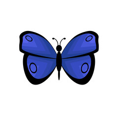 Mariposa Azul