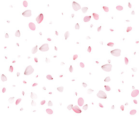 Festive background with pink cherry blossom petals.