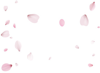 Cherry petals, unobtrusive festive background.