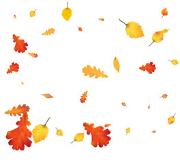 Many autumn leaves are swirling in the wind.