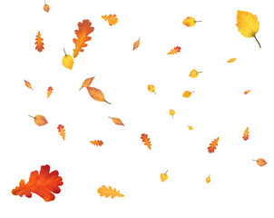 Many autumn leaves are swirling in the wind.