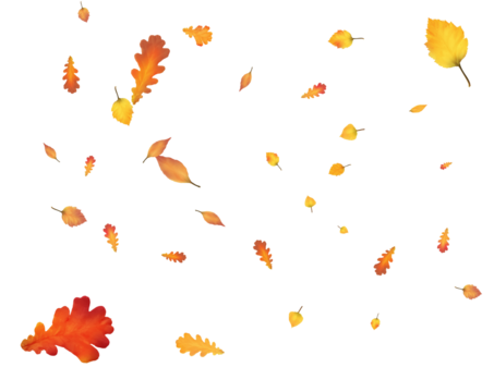 Many autumn leaves are swirling in the wind.
