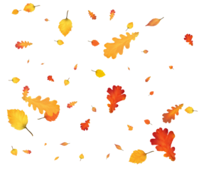 The wind blows autumn leaves, nice modern texture.