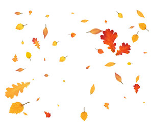 Festive autumn background from leaves.