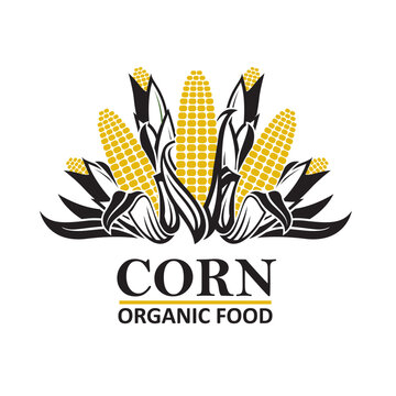 corn stalk emblem isolated on white background