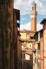 Obraz premium Scenic townscape view of Torre del Mangia bell tower at Piazza del Campo in the historic hilltop village of Siena, Tuscany, Italy.