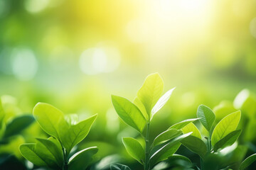 Fototapeta premium Spring natural green leaf background. blurred greenery background. using as spring and nature background. selects focus. Generative ai