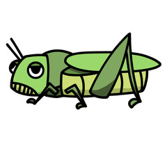 cute grasshopper cartoon drawing transparent background vector illustration