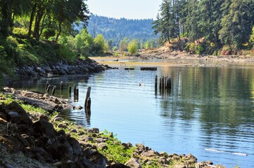 Obraz premium Summer day at glassy river