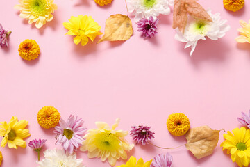 Different beautiful chrysanthemum flowers on pink background