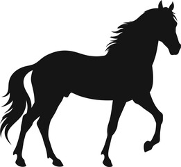 rearing up horse fine vector silhouette and outline - graceful black stallions against white