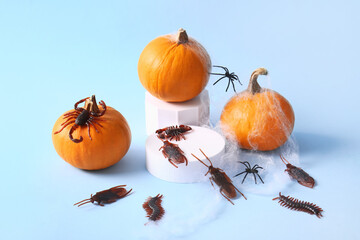 Halloween composition with candy bugs, pumpkins and web on blue background