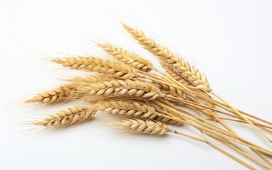 Wheat on white background. Generative AI
