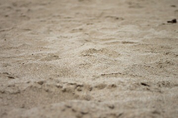 Fototapeta na wymiar photography background with closeup of beach sand
