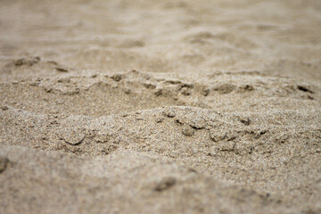 photography background with closeup of beach sand
