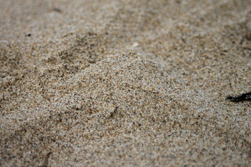 photography background with closeup of beach sand