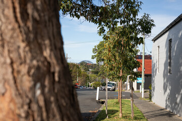 Gumtree