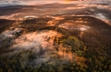 Nature photographs with autumn colors taken from the air