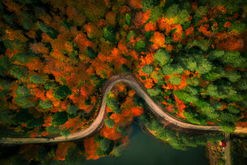 Nature photographs with autumn colors taken from the air