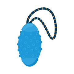 pet rubber toy blue