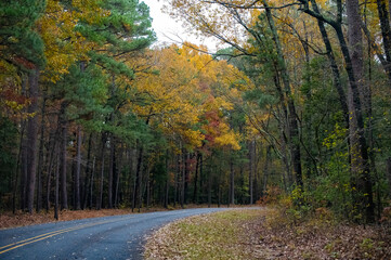 Country road lined with beautiful fall colored foliage.