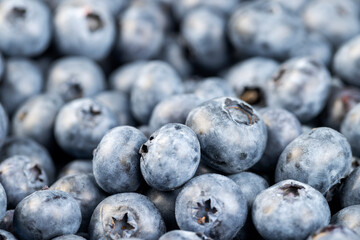 sweet and delicious blueberries during storage before sale