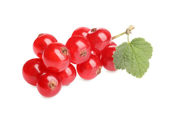 Fresh ripe redcurrants and green leaf isolated on white