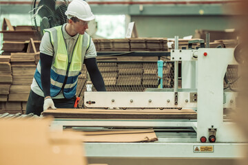 The tech prepare cardboard sheet with precision before automating production in the paper factory.