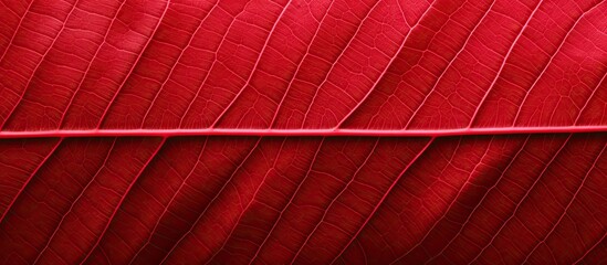 Red striped abstract foliage detail with leaf textured background