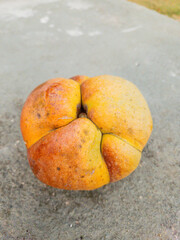 fruit known as elephant apple in a square in Rio de Janeiro.