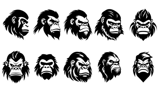Gorila head logo set - vector illustration, emblem design on white background.