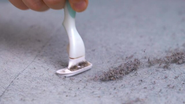 Fingers hold blade, cut pellets from old sofa, clean the surface couch of dirt Cleaning upholstered furniture from pellets with a razor Do-it-yourself furniture dry cleaning is home tips life hack