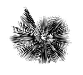 Spiral black radial lines. Raid explosion in all directions. Design that imitates a starburst. Vector illustration isolated on transparent background.