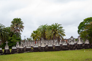 Headstones in a cemetery