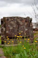 Headstone in a cemetery