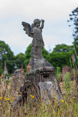 Obraz premium An angel statue grave marker, Rockwood Cemetery, Sydney, Australia 