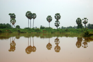 reflections