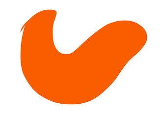 illustration of an orange