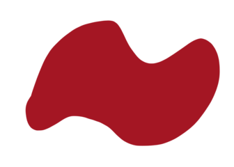 illustration of a red heart