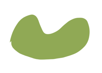 illustration of an apple