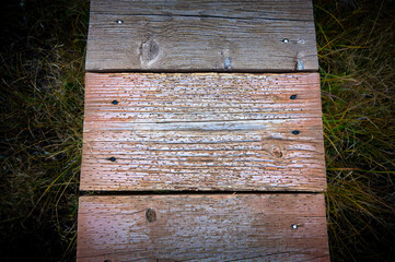 Wooden Path Close Up Through Woods