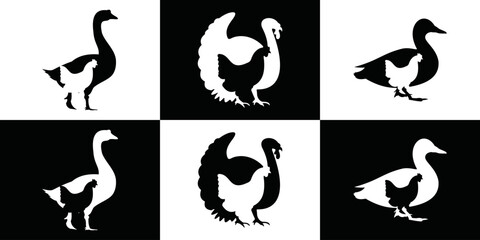 Logo template of chicken farm, turkey farm, duck farm, goose farm. goose, duck, turkey, chicken symbol in black and white colors.	 - obrazy, fototapety, plakaty