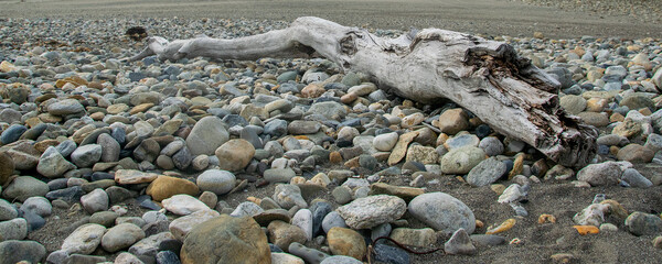 Fototapeta premium Rocks and tree trunk at low tide beach